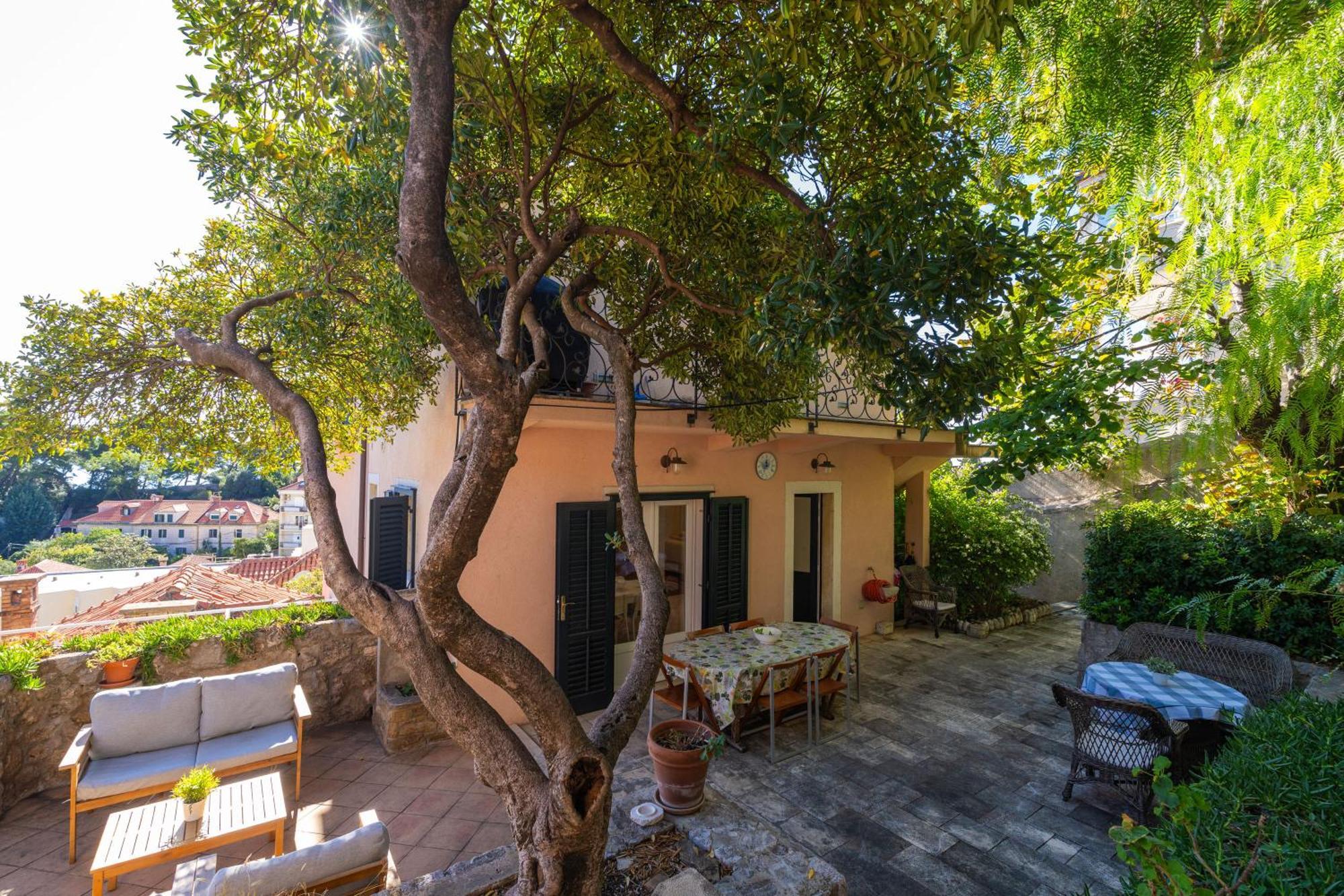 Apartment Alis